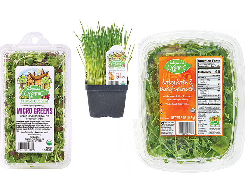 Wegmans voluntarily recalls microgreens sweet pea leaves cat